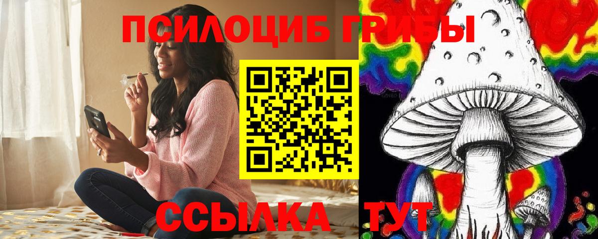 Галлюциногенные грибы GOLDEN TEACHER Светлоград
