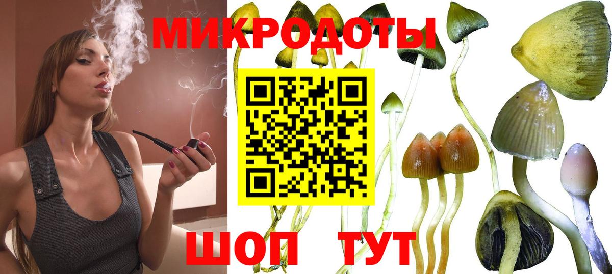 Галлюциногенные грибы прущие грибы  Галлюциногенные грибы ЛСД  Вход с VPN  Светлоград 