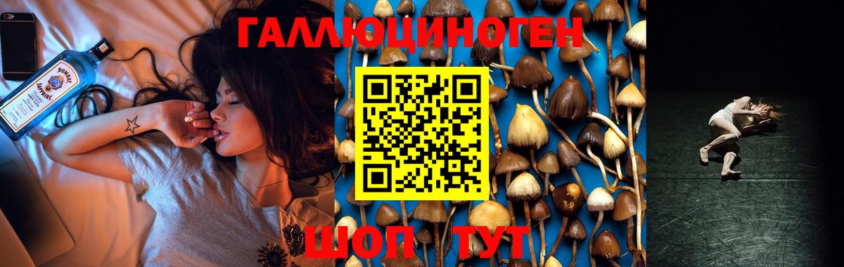 ГАШИШ  КЕТАМИН  Амфетамин кристаллы  Экстази  Вход с VPN  ГАШИШ  Мефедрон кристаллы  Светлоград  Каннабис 